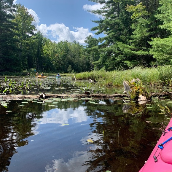 Meet your Posher, Megan - Picture 7 of 7